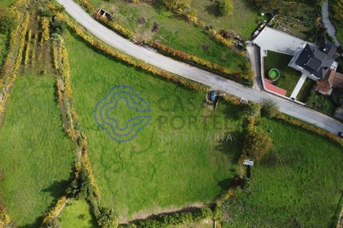 Helårsgrund i Baiao, Porto, Baiao - € 35.000 | Ref: 149571 - foto 3