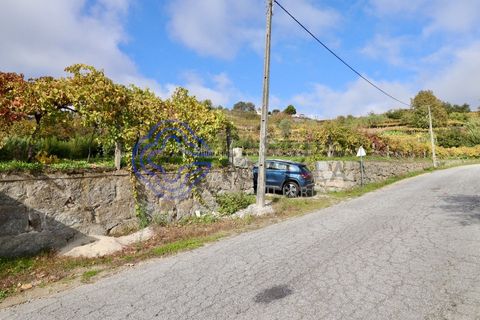 Helårsgrund i Baiao, Porto, Baiao - € 35.000 | Ref: 149571 - foto 4