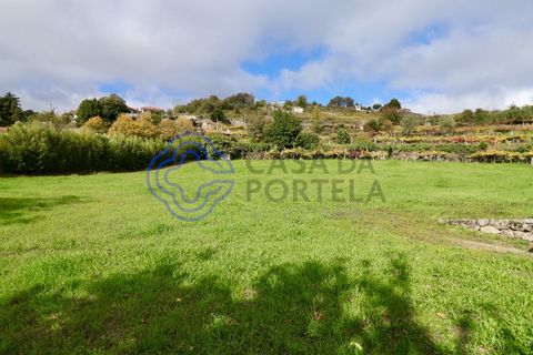Helårsgrund i Baiao, Porto, Baiao - € 35.000 | Ref: 149571 - foto 5