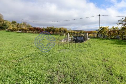 Helårsgrund i Baiao, Porto, Baiao - € 35.000 | Ref: 149571 - foto 6