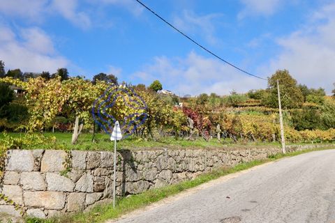 Helårsgrund i Baiao, Porto, Baiao - € 35.000 | Ref: 149571 - foto 7
