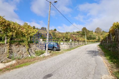 Helårsgrund i Baiao, Porto, Baiao - € 35.000 | Ref: 149571 - foto 8