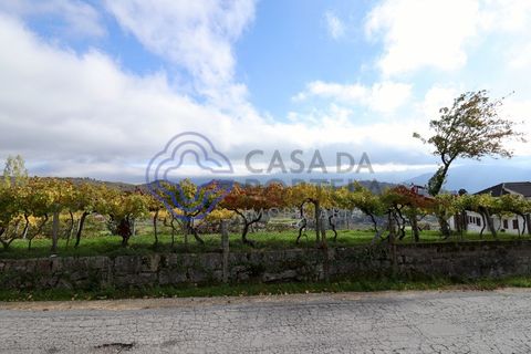 Helårsgrund i Baiao, Porto, Baiao - € 35.000 | Ref: 149571 - foto 10