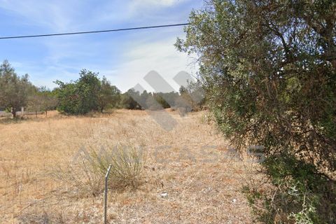 Helårsgrund i Silves, Faro, Silves - € 700.000 | Ref: PP19122022 - foto 4