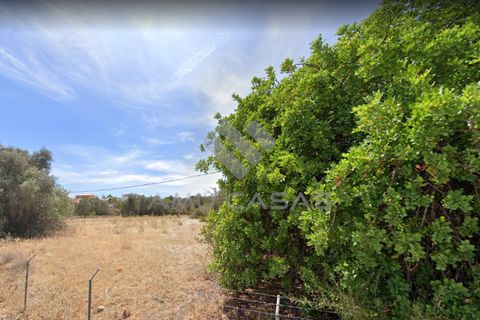 Helårsgrund i Silves, Faro, Silves - € 700.000 | Ref: PP19122022 - foto 5