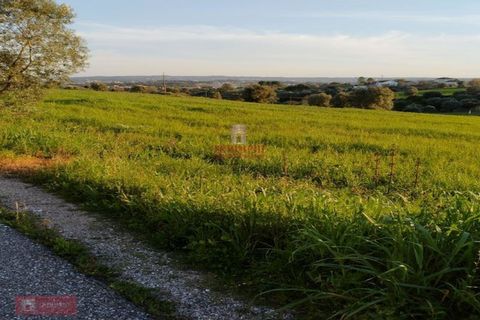 Helårsgrund i Tomar, Santarem, Tomar - € 170.000 | Ref: TPH001-254 - foto 1