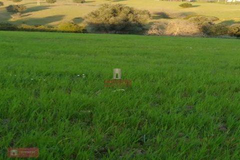 Helårsgrund i Tomar, Santarem, Tomar - € 170.000 | Ref: TPH001-254 - foto 11