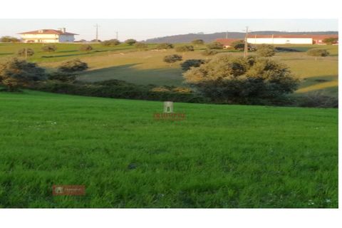 Helårsgrund i Tomar, Santarem, Tomar - € 170.000 | Ref: TPH001-254 - foto 12
