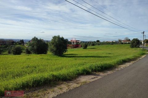 Helårsgrund i Tomar, Santarem, Tomar - € 170.000 | Ref: TPH001-254 - foto 2