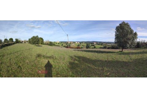 Helårsgrund i Tomar, Santarem, Tomar - € 170.000 | Ref: TPH001-254 - foto 3