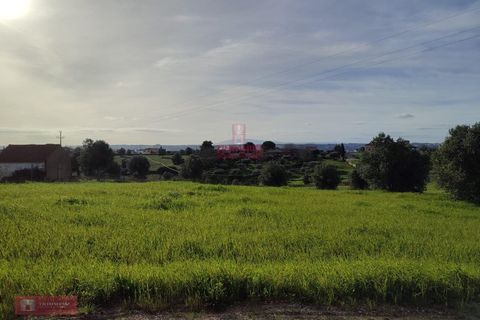 Helårsgrund i Tomar, Santarem, Tomar - € 170.000 | Ref: TPH001-254 - foto 4