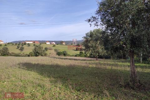 Helårsgrund i Tomar, Santarem, Tomar - € 170.000 | Ref: TPH001-254 - foto 5