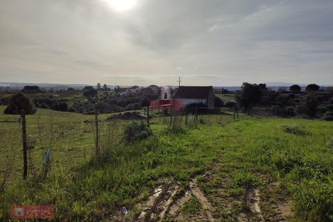 Helårsgrund i Tomar, Santarem, Tomar - € 170.000 | Ref: TPH001-254 - foto 6