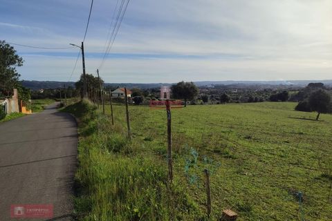 Helårsgrund i Tomar, Santarem, Tomar - € 170.000 | Ref: TPH001-254 - foto 7