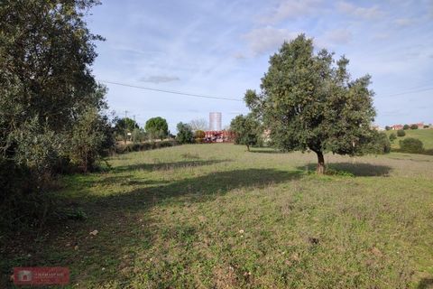 Helårsgrund i Tomar, Santarem, Tomar - € 170.000 | Ref: TPH001-254 - foto 9