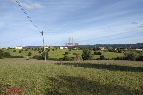 Helårsgrund i Tomar, Santarem, Tomar - € 170.000 | Ref: TPH001-254 - foto 10