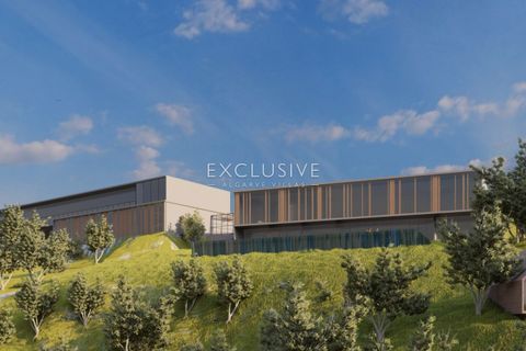 Helårsgrund i Silves, Faro, Silves - € 15.000.000 | Ref: EAV-1628 - foto 2