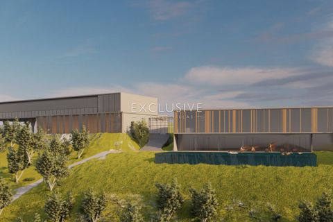 Helårsgrund i Silves, Faro, Silves - € 15.000.000 | Ref: EAV-1628 - foto 11
