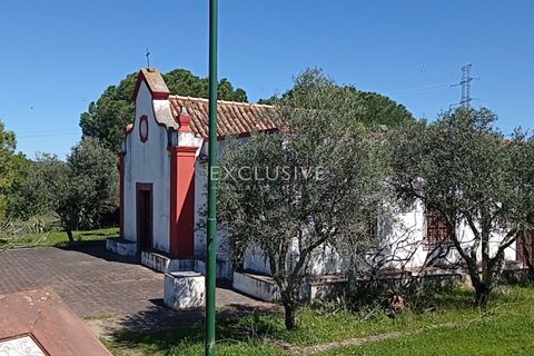 Helårsgrund i Silves, Faro, Silves - € 15.000.000 | Ref: EAV-1628 - foto 17