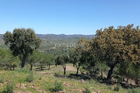 Helårsgrund i Silves, Faro, Silves - € 15.000.000 | Ref: EAV-1628 - foto 18