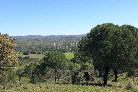Helårsgrund i Silves, Faro, Silves - € 15.000.000 | Ref: EAV-1628 - foto 19