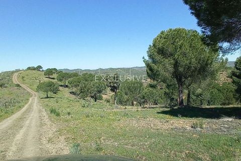Helårsgrund i Silves, Faro, Silves - € 15.000.000 | Ref: EAV-1628 - foto 22