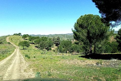 Helårsgrund i Silves, Faro, Silves - € 15.000.000 | Ref: EAV-1628 - foto 23
