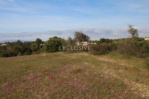 Helårsgrund i Lagoa, Faro, Lagoa - € 570.000 | Ref: EAV-3009 - foto 9