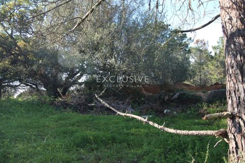 Helårsgrund i Lagoa, Faro, Lagoa - € 570.000 | Ref: EAV-3009 - foto 16