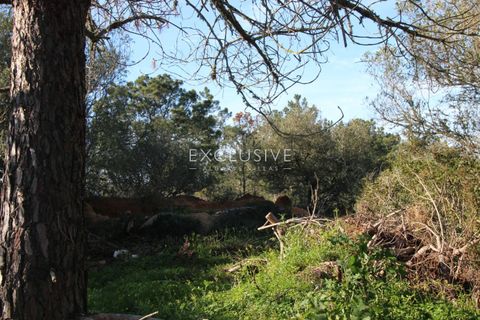 Helårsgrund i Lagoa, Faro, Lagoa - € 570.000 | Ref: EAV-3009 - foto 17