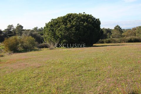 Helårsgrund i Lagoa, Faro, Lagoa - € 570.000 | Ref: EAV-3009 - foto 19