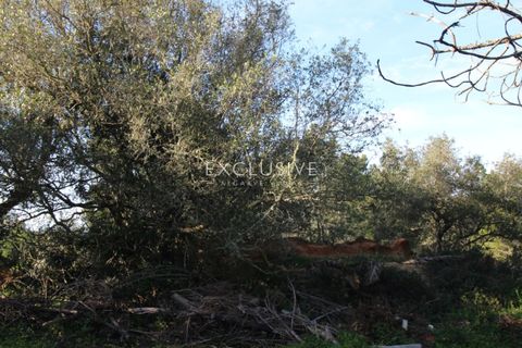 Helårsgrund i Lagoa, Faro, Lagoa - € 570.000 | Ref: EAV-3009 - foto 29