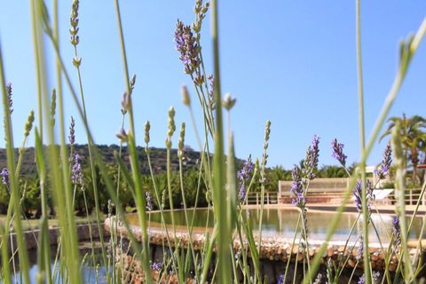 Villa i Lagoa, Faro, Lagoa - € 4.500.000 | Ref: EAV-3516 - foto 15