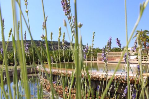 Villa i Lagoa, Faro, Lagoa - € 4.500.000 | Ref: EAV-3516 - foto 29