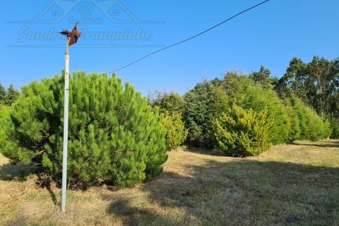 Villa a Alenquer, Lisbon, Alenquer - € 370.000 | Ref: CAS_436 - foto 38