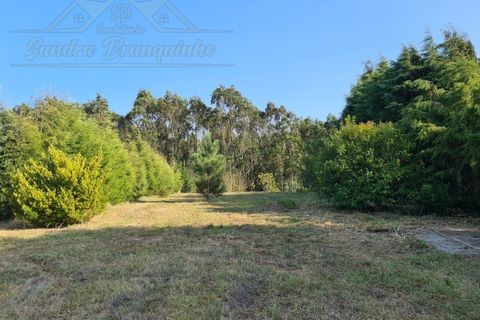 Villa a Alenquer, Lisbon, Alenquer - € 370.000 | Ref: CAS_436 - foto 39