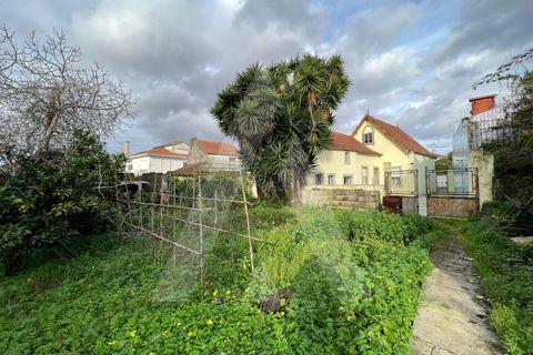 Villa i Ilhavo, Aveiro, Ilhavo - € 250.000 | Ref: 1011646/22 GL - foto 16
