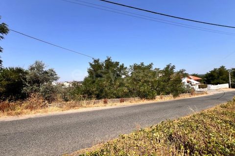 Helårsgrund i Abrantes, Santarem, Abrantes - € 22.000 | Ref: TM91093 - foto 1