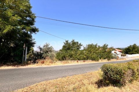 Helårsgrund i Abrantes, Santarem, Abrantes - € 22.000 | Ref: TM91093 - foto 2