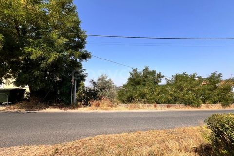 Helårsgrund i Abrantes, Santarem, Abrantes - € 22.000 | Ref: TM91093 - foto 4