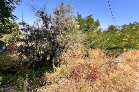 Helårsgrund i Abrantes, Santarem, Abrantes - € 22.000 | Ref: TM91093 - foto 5