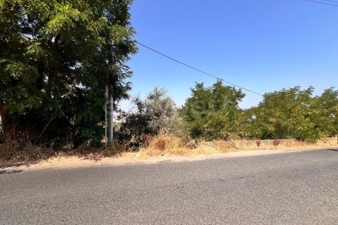 Helårsgrund i Abrantes, Santarem, Abrantes - € 22.000 | Ref: TM91093 - foto 6