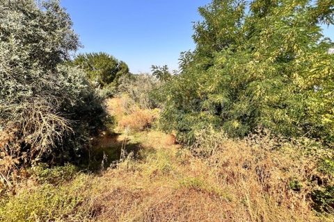 Helårsgrund i Abrantes, Santarem, Abrantes - € 22.000 | Ref: TM91093 - foto 7