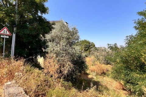 Helårsgrund i Abrantes, Santarem, Abrantes - € 22.000 | Ref: TM91093 - foto 8