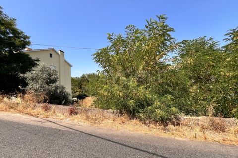 Helårsgrund i Abrantes, Santarem, Abrantes - € 22.000 | Ref: TM91093 - foto 9