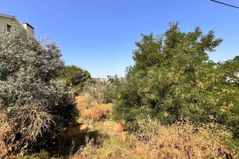 Helårsgrund i Abrantes, Santarem, Abrantes - € 22.000 | Ref: TM91093 - foto 10