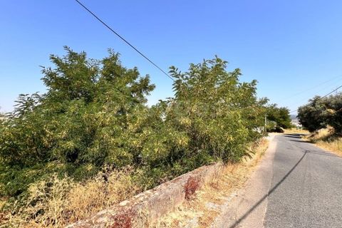 Helårsgrund i Abrantes, Santarem, Abrantes - € 22.000 | Ref: TM91093 - foto 11