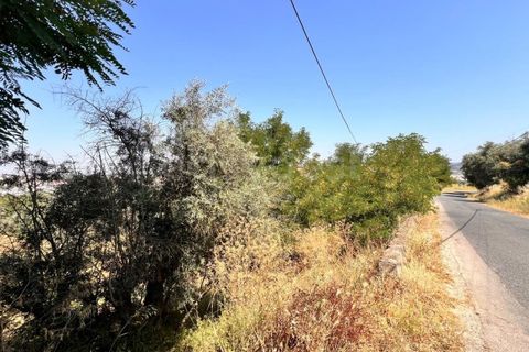 Helårsgrund i Abrantes, Santarem, Abrantes - € 22.000 | Ref: TM91093 - foto 12