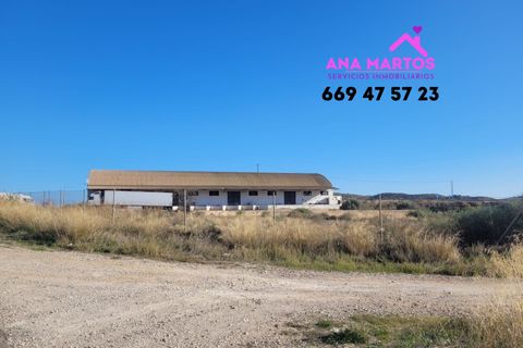 Erhvervsejendom i Lorca, Murcia, Lorca - € 460.000 | Ref: NAV0001 - foto 4