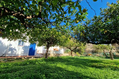 Villa a Alcaucin, Malaga, Alcaucin - € 160.000 | Ref: VS1005 - foto 4